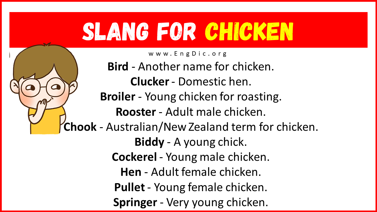 Slang For Chicken
