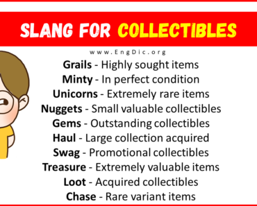 20+ Slang for Collectibles (Their Uses & Meanings)