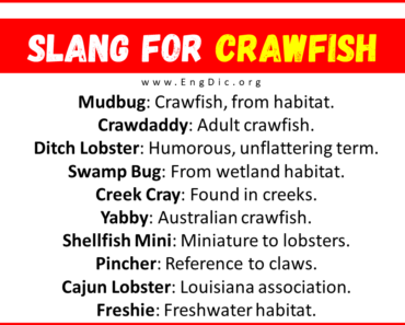 20+ Slang for Crawfish (Their Uses & Meanings)
