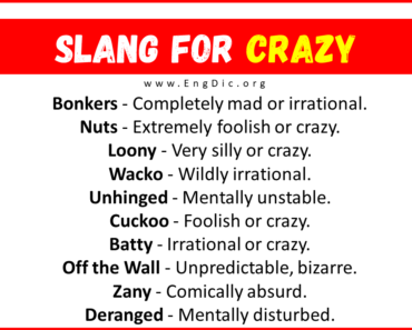 20+ Slang for Crazy (Their Uses & Meanings)