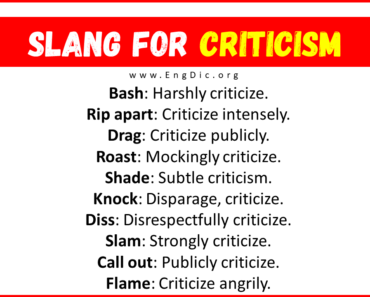 20+ Slang for Criticism (Their Uses & Meanings)