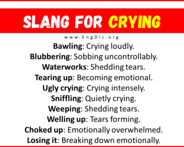 20+ Slang for Crying (Their Uses & Meanings)