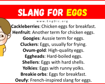 20+ Slang for Eggs (Their Uses & Meanings)