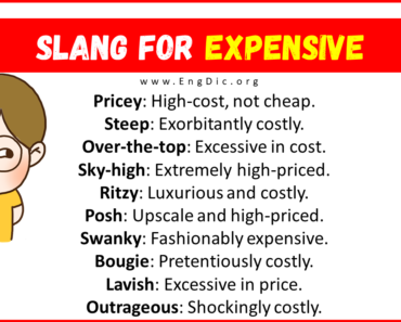20+ Slang for Expensive (Their Uses & Meanings)