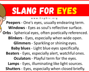 20+ Slang for Eyes (Their Uses & Meanings)