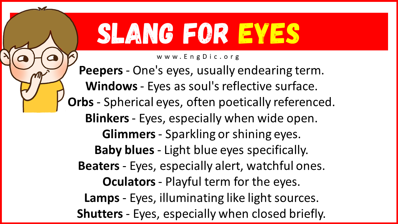 Slang For Eyes Slang For Eyes