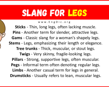 30+ Slang for Legs (Their Uses & Meanings)