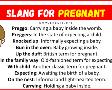 30+ Slang for Pregnant (Their Uses & Meanings)