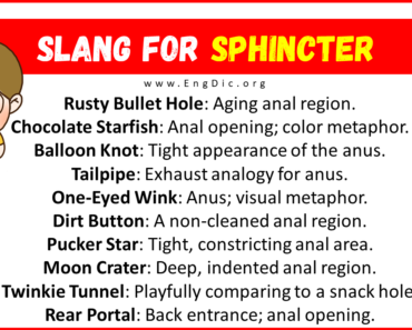 30+ Slang for Sphincter (Their Uses & Meanings)