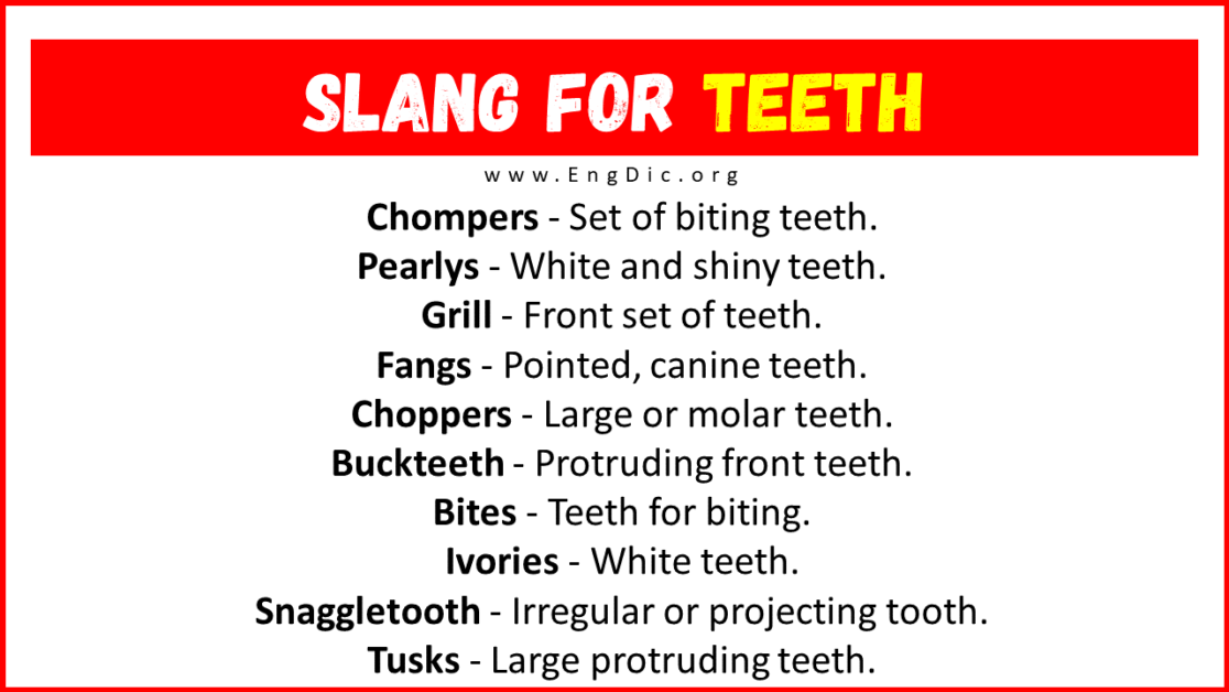30+ Slang for Teeth (Their Uses & Meanings) EngDic