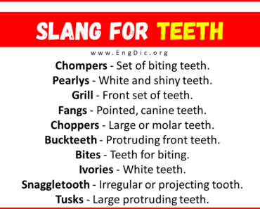 30+ Slang for Teeth (Their Uses & Meanings)