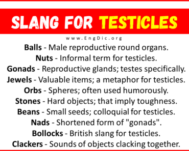 30+ Slang for Testicles (Their Uses & Meanings)