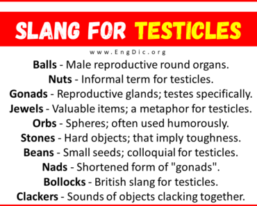 30+ Slang for Testicles (Their Uses & Meanings) 30+ Slang for Testicles (Their Uses & Meanings)