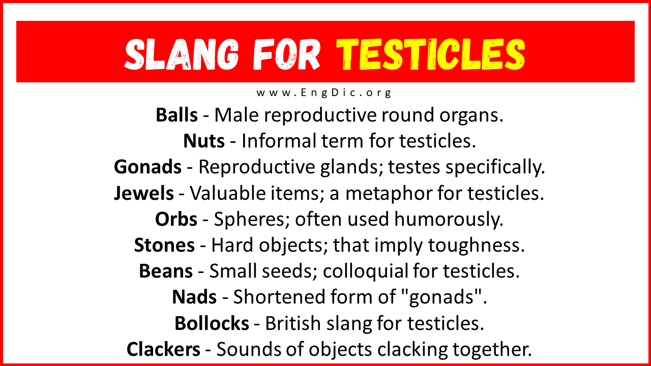 Slang For Testicles