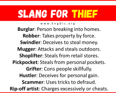 30+ Slang for Thief (Their Uses & Meanings)