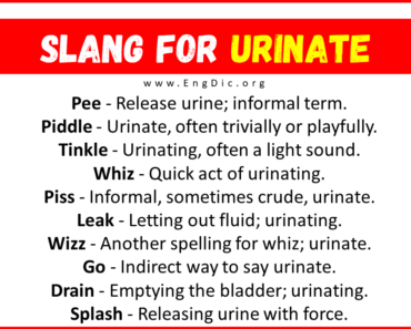 30+ Slang for Urinate (Their Uses & Meanings)