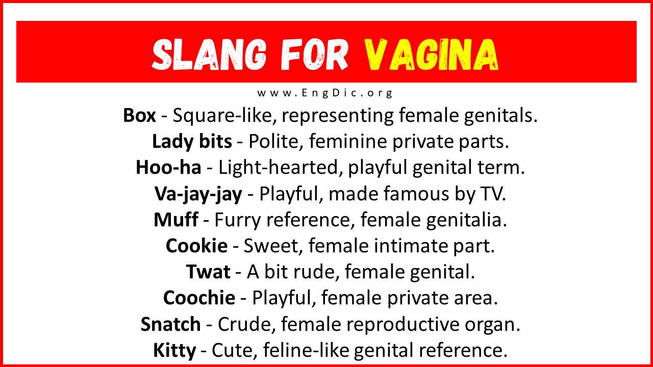 Slang For Vagina Their Uses Meanings Engdic