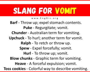 30+ Slang for Vomit (Their Uses & Meanings)