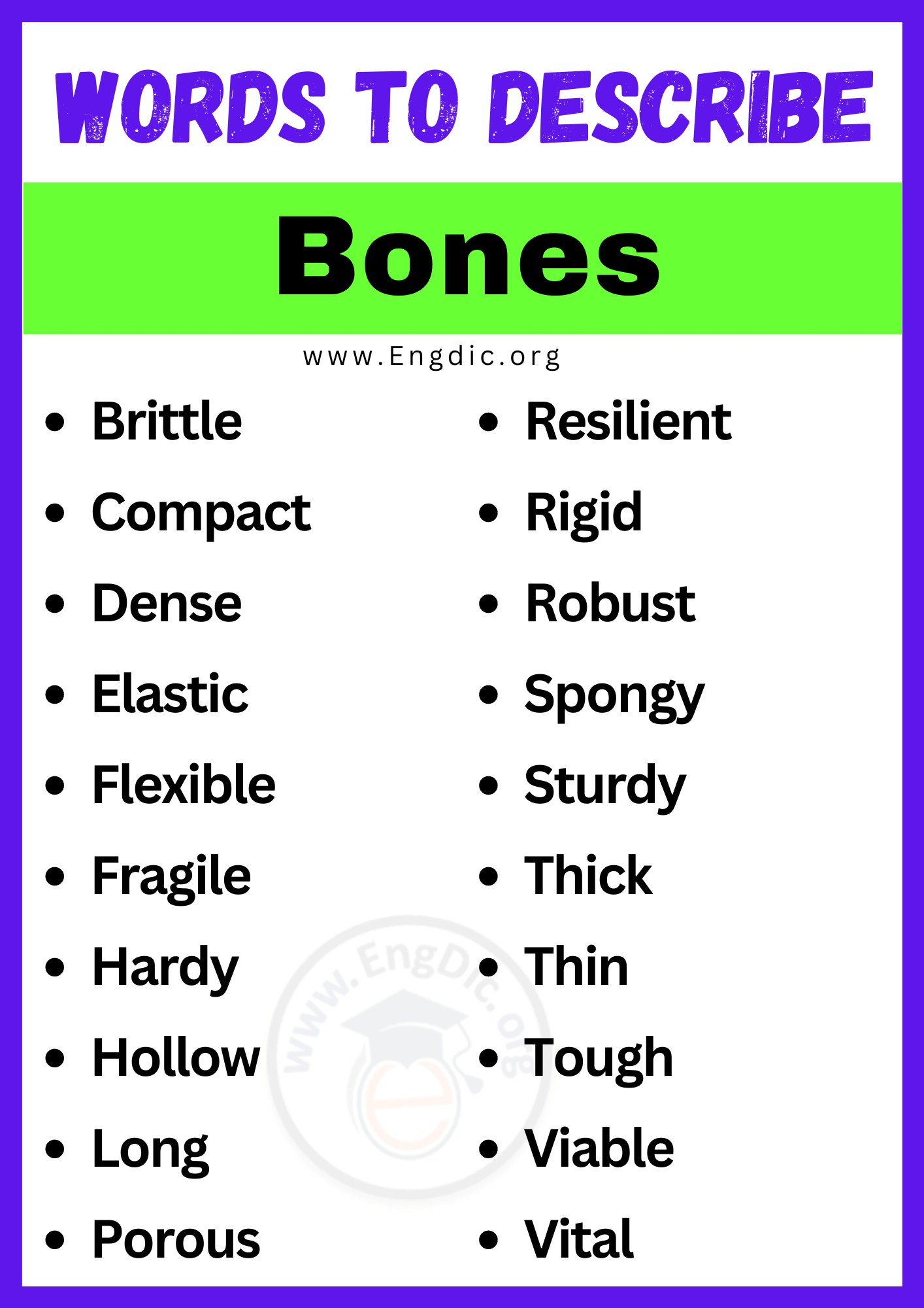 Words to Describe Bones