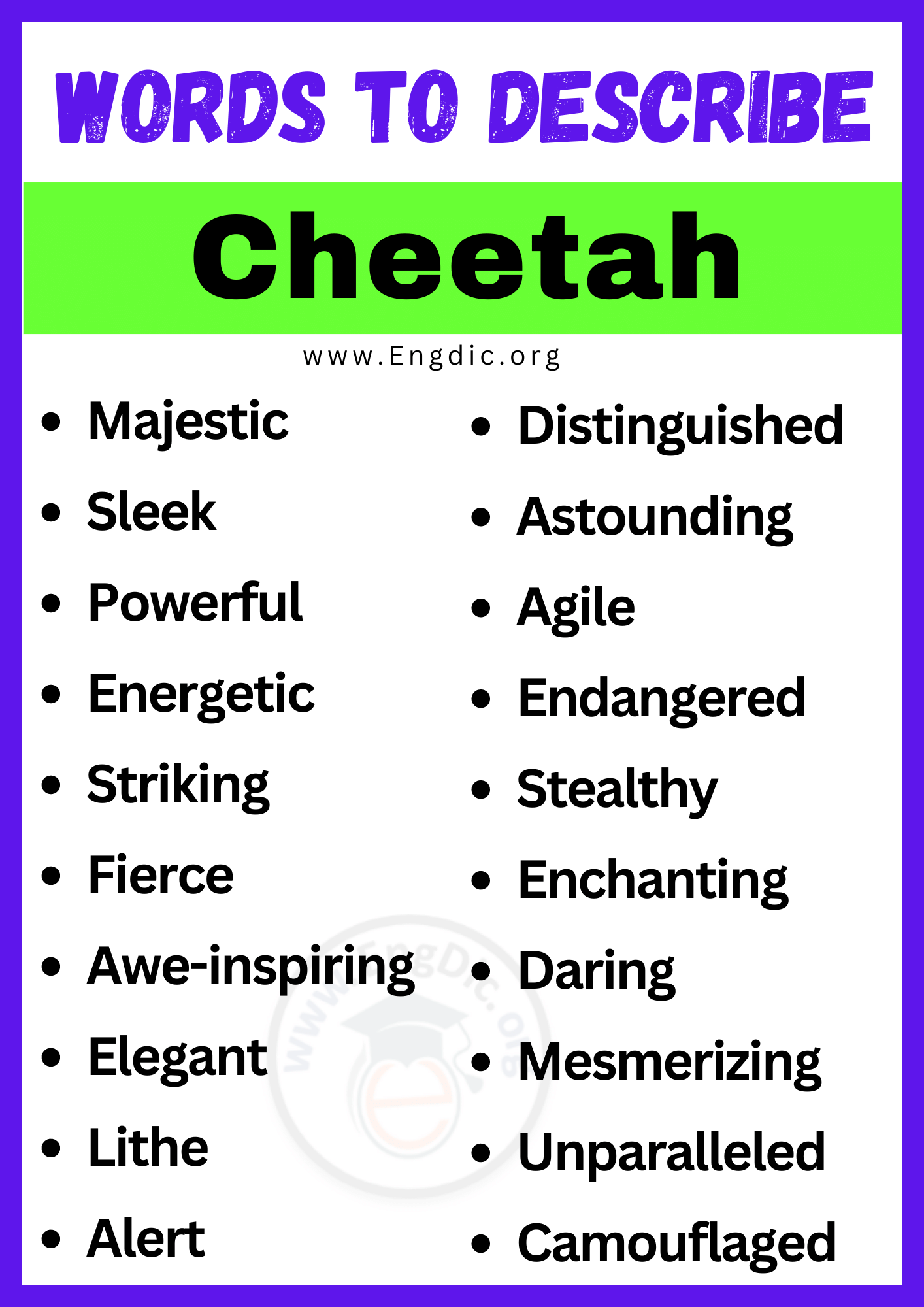 Words to Describe Cheetah