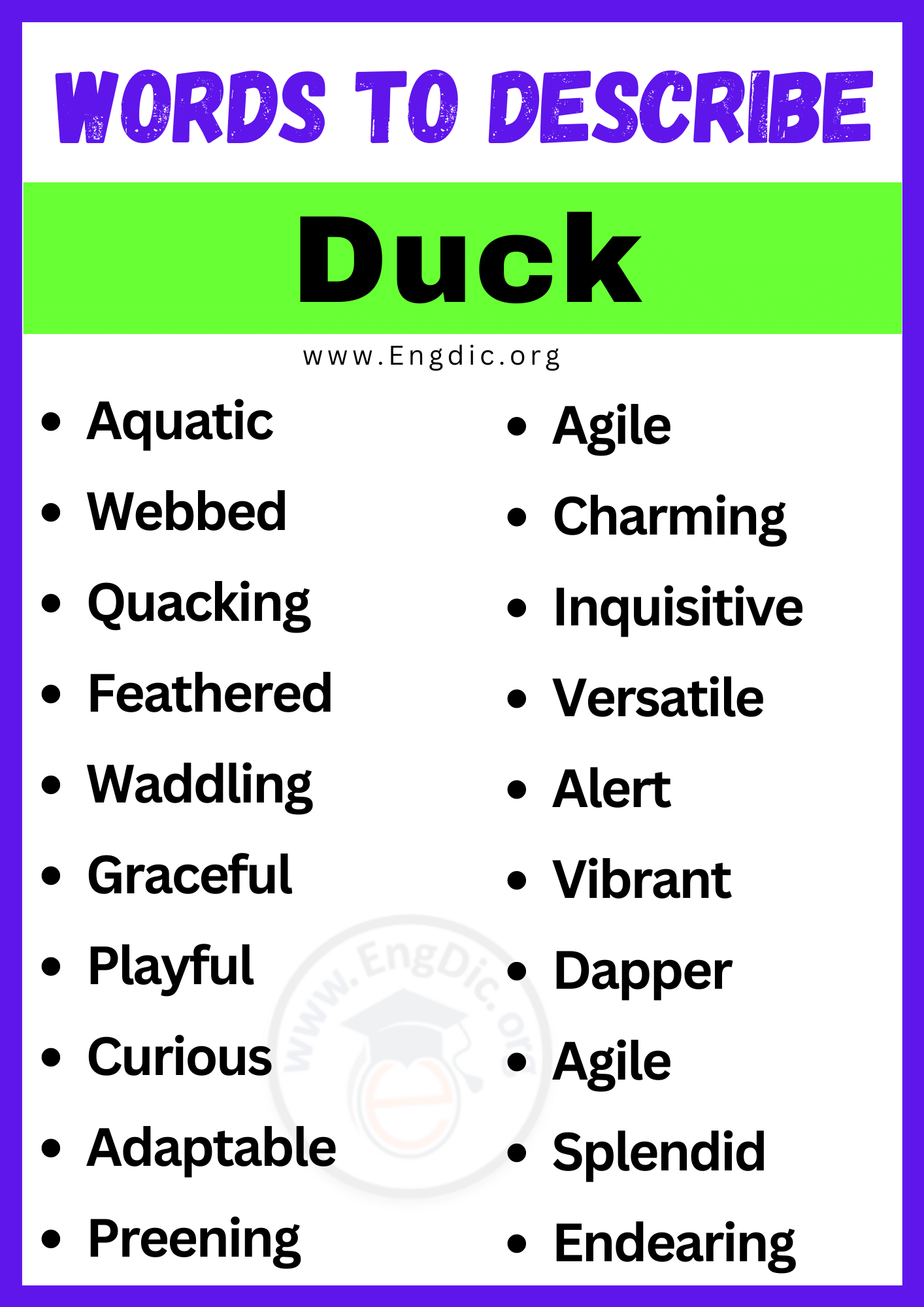 Words to Describe Duck