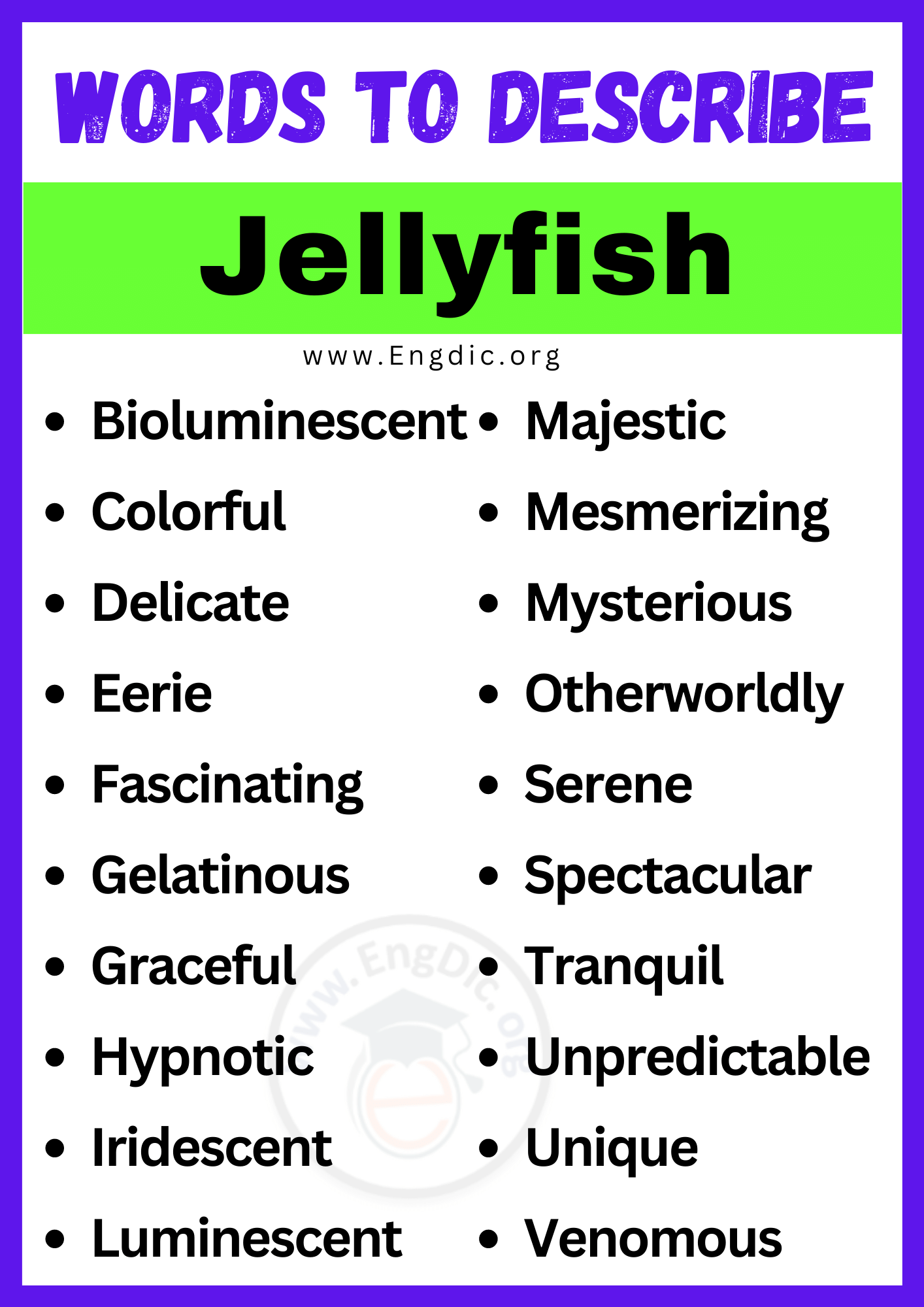 Words to Describe Jellyfish