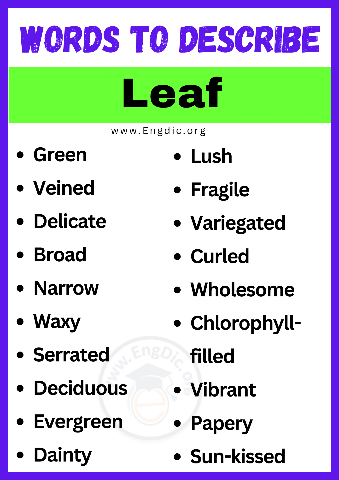 Words to Describe Leaf