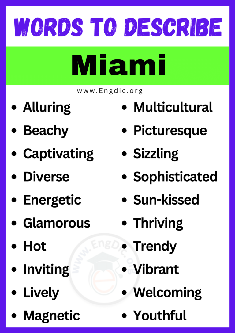 20+ Best Words to Describe Miami, Adjectives for Miami - EngDic