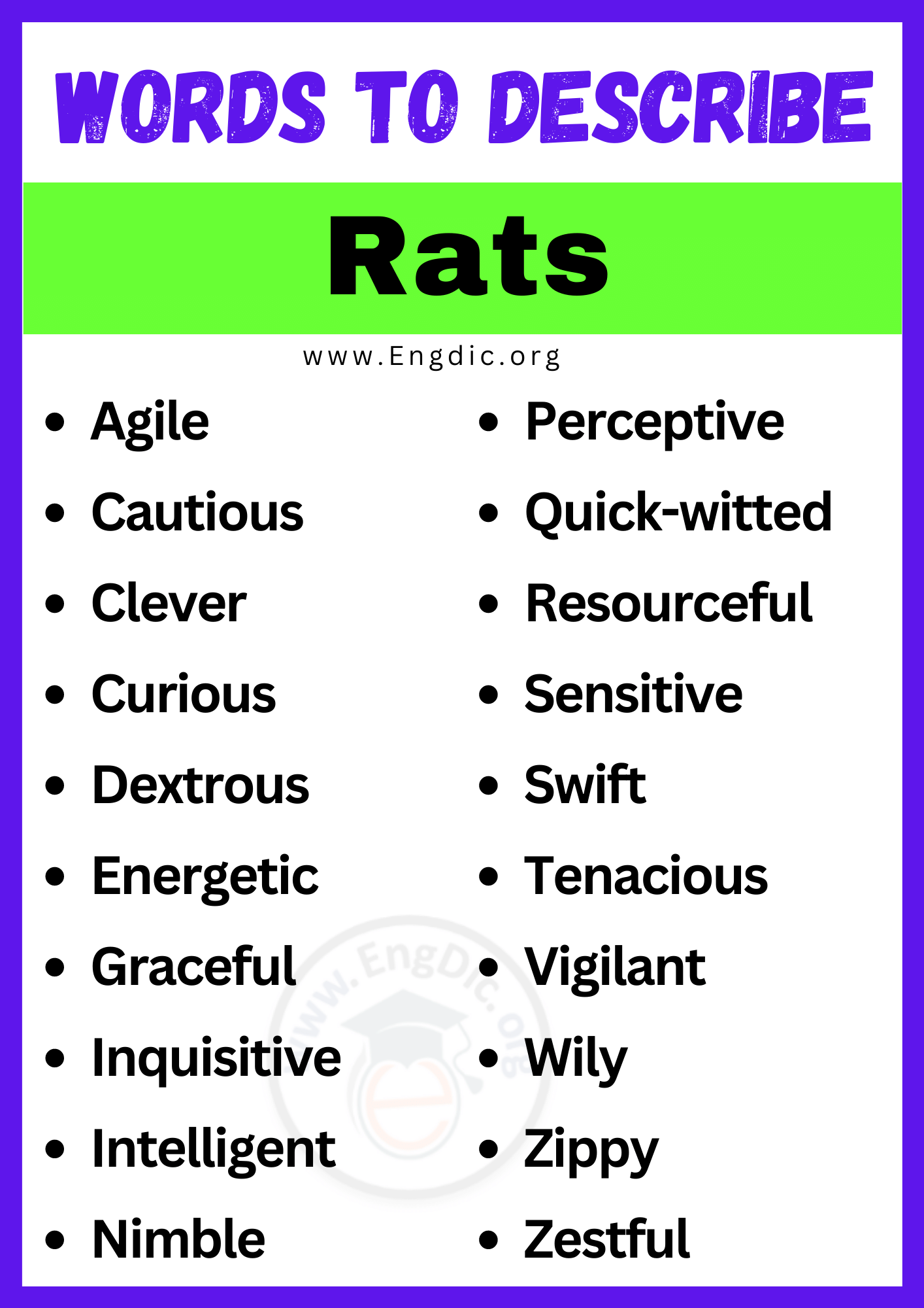 Words to Describe Rats