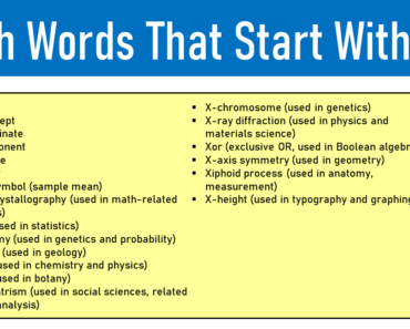40 Math Words That Start With X