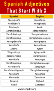 50 Spanish Adjectives That Start With X - EngDic