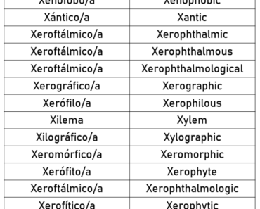 50 Spanish Adjectives That Start With X