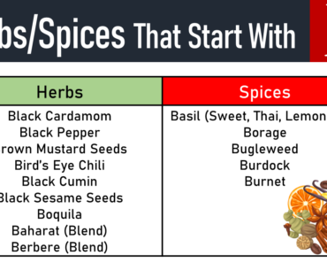 20+ Herbs and Spices That Start With B