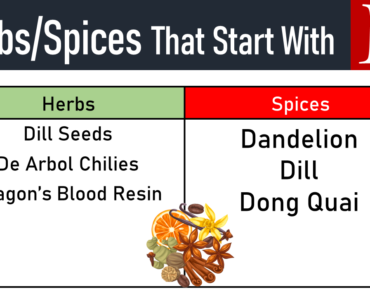 20+ Herbs and Spices That Start With D