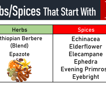 20+ Herbs and Spices That Start With E