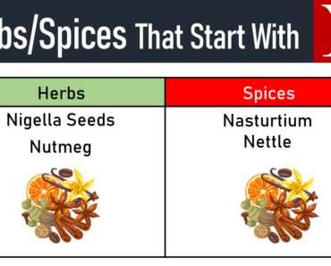 10+ Herbs and Spices That Start With N