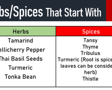 10 Herbs and Spices That Start With T