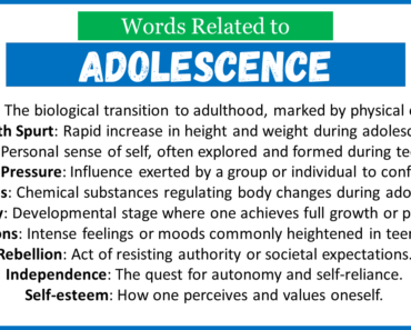 Top 30 Words Related to Adolescence