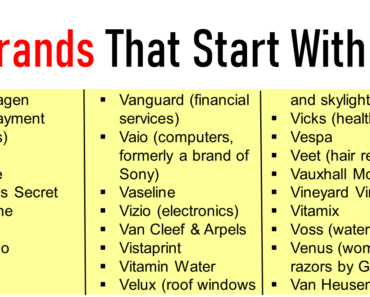 50+ Top Brands That Start With V