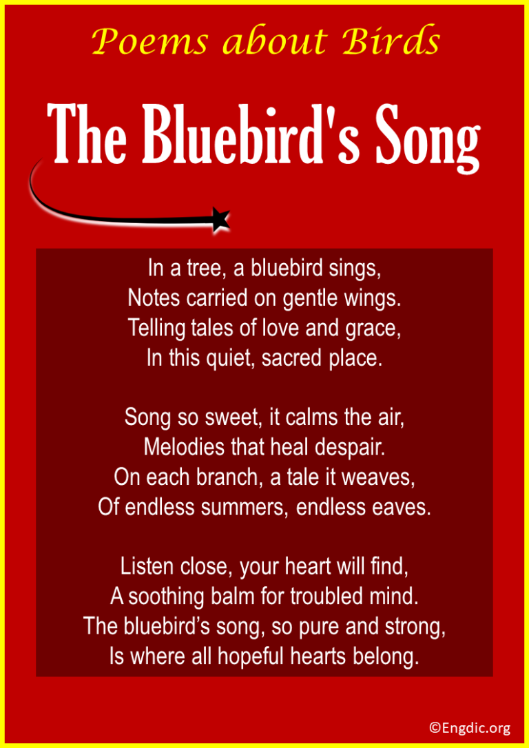 20+ Best Poems about Birds (Bluebirds, Hummingbirds) - EngDic