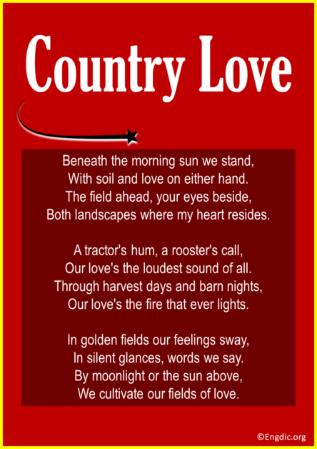 essay about love poem for my country