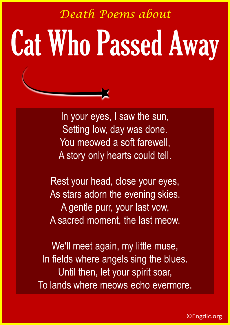 Poems for Cat Who Passed Away