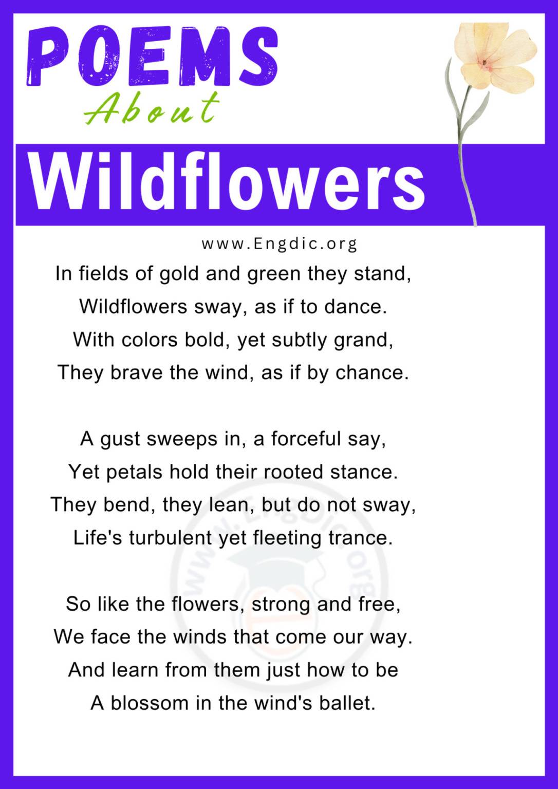 20+ Short and Best Poems about Wildflowers EngDic