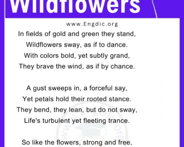 20+ Short and Best Poems about Wildflowers