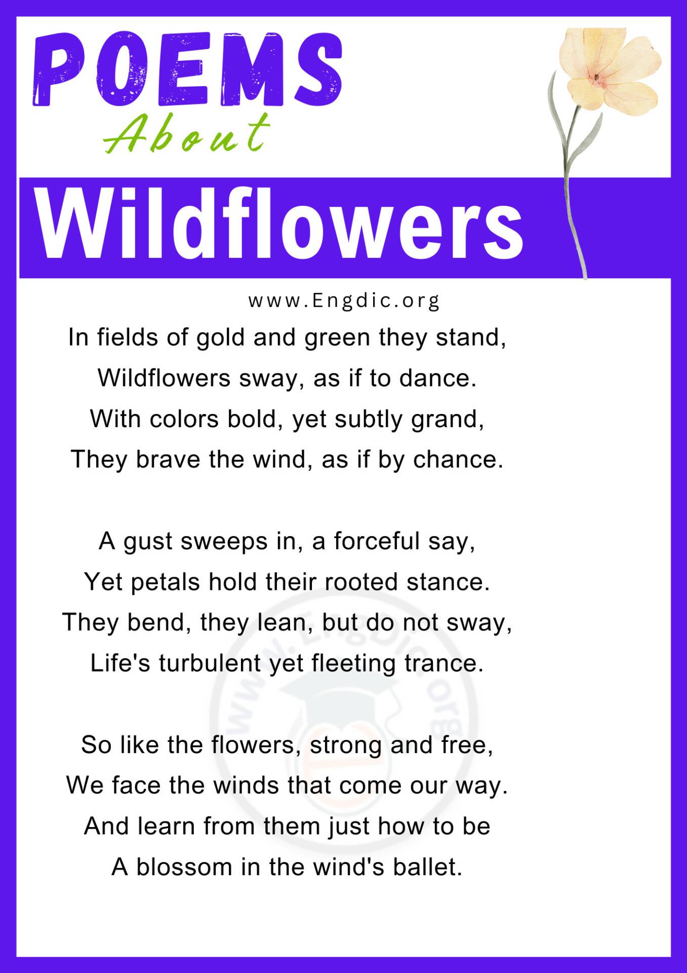 Poems for Wildflowers
