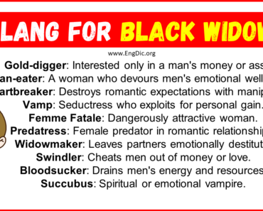 20 Slang for Black Widow (Their Uses & Meanings)