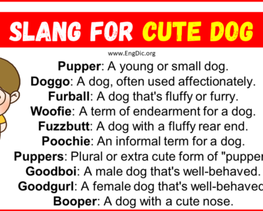 20 Slang for Cute Dog (Uses and Meanings in 2024)