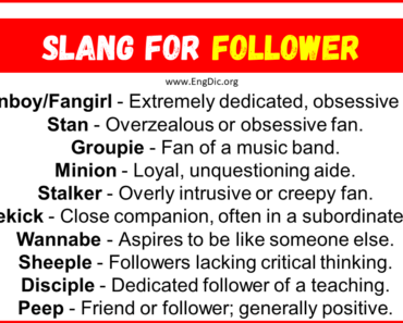 20+ Slang for Follower (Their Uses & Meanings)