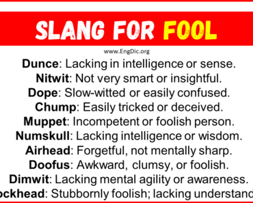 20+ Slang for Fool (Their Uses & Meanings)