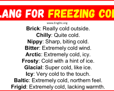 20+ Slang for Freezing Cold (Their Uses & Meanings)